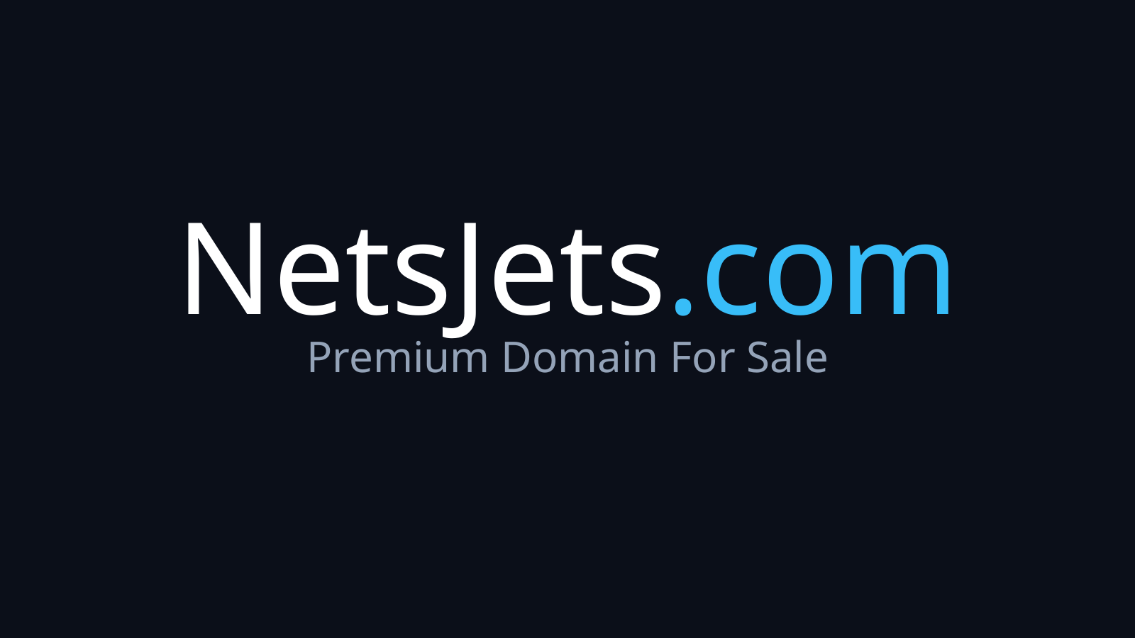 NetsJets.com logo